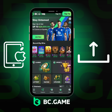 Discover the Exciting World of Bc.Game A Comprehensive Guide