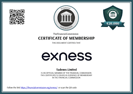 The Comprehensive Guide to Exness Mobile Terminal